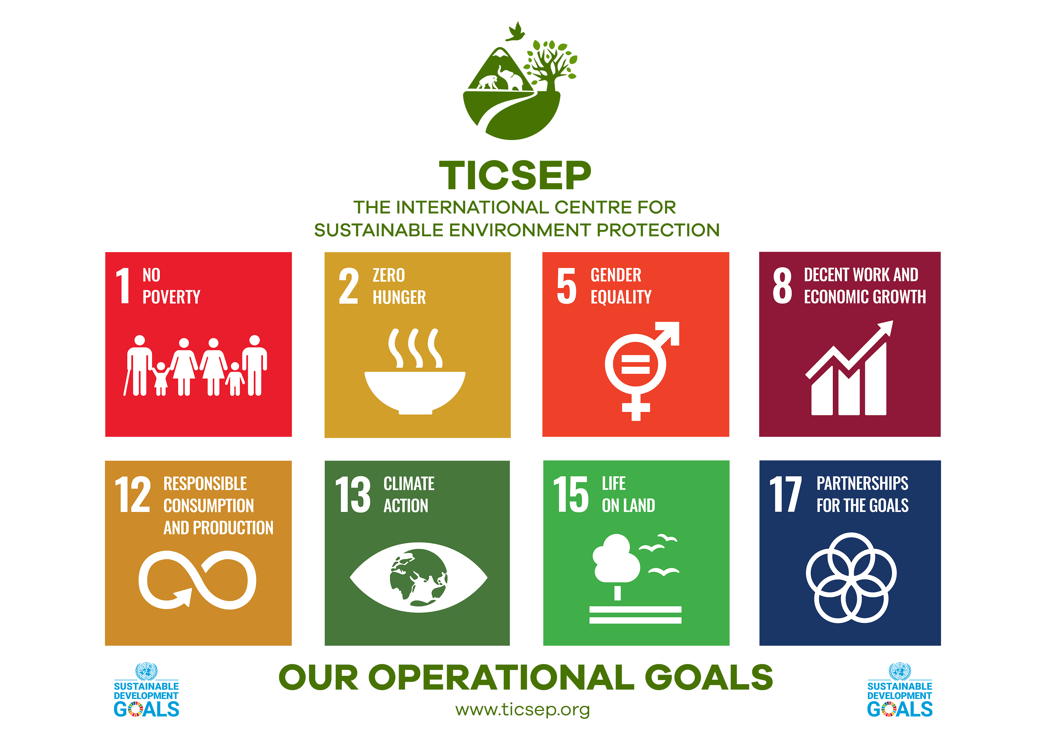 Image of Ticsep SDGs focus areas
